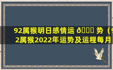 92属猴明日感情运 🐟 势（92属猴2022年运势及运程每月运程）